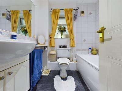 Picture 9